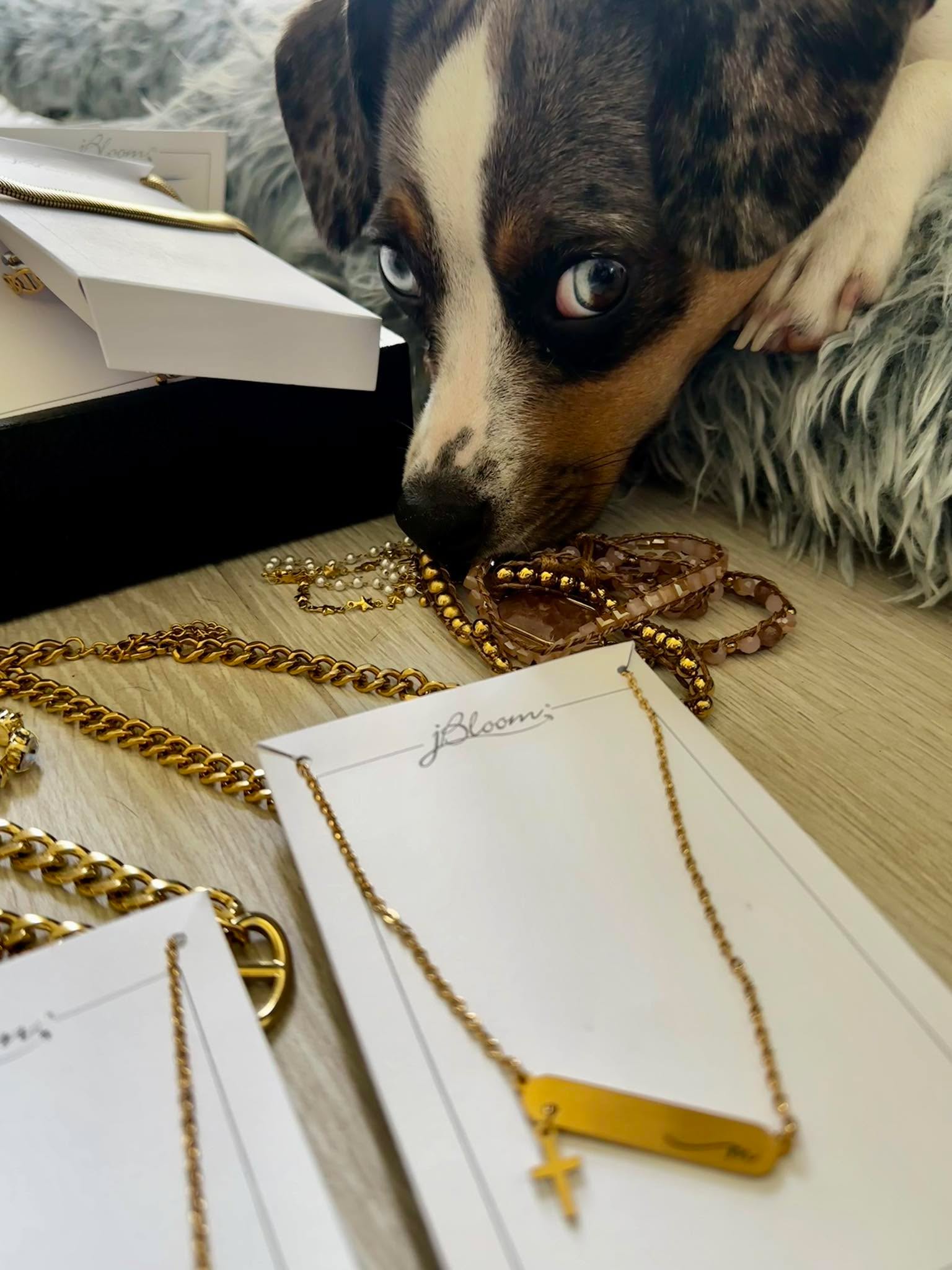 Obviously Bella has favorites!